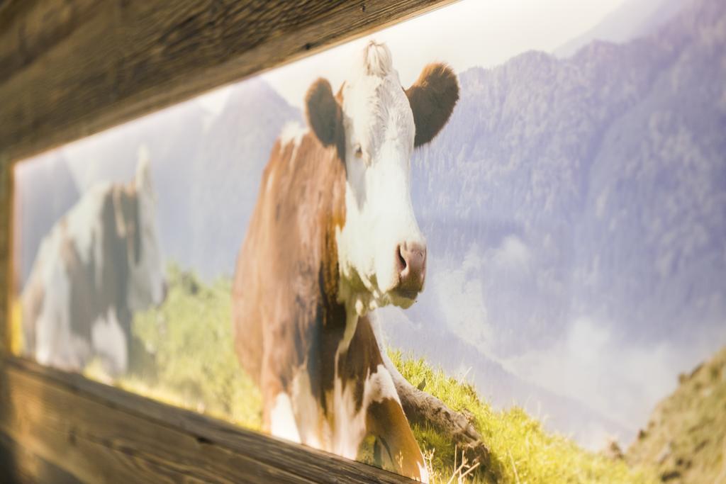 Pension Wendelstein Miesbach Zewnętrze zdjęcie